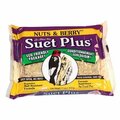 Suet Plus NUTS & BERRY BLEND SUET 11OZ 202